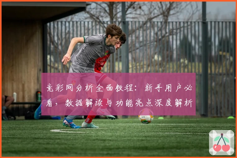 竞彩网分析全面教程：新手用户必看，数据解读与功能亮点深度解析