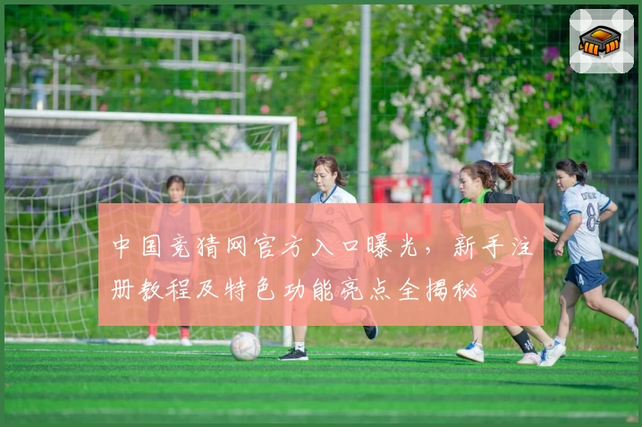 中国竞猜网官方入口曝光，新手注册教程及特色功能亮点全揭秘