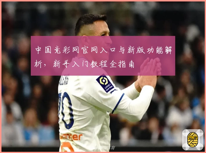 中国竞彩网官网入口与新版功能解析，新手入门教程全指南