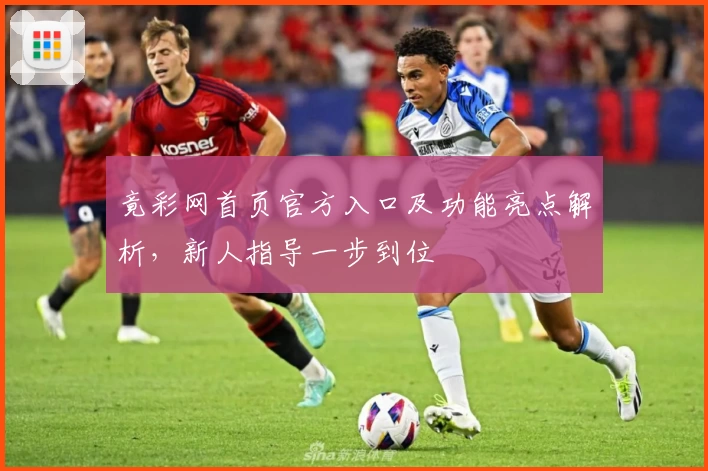 竟彩网首页官方入口及功能亮点解析，新人指导一步到位