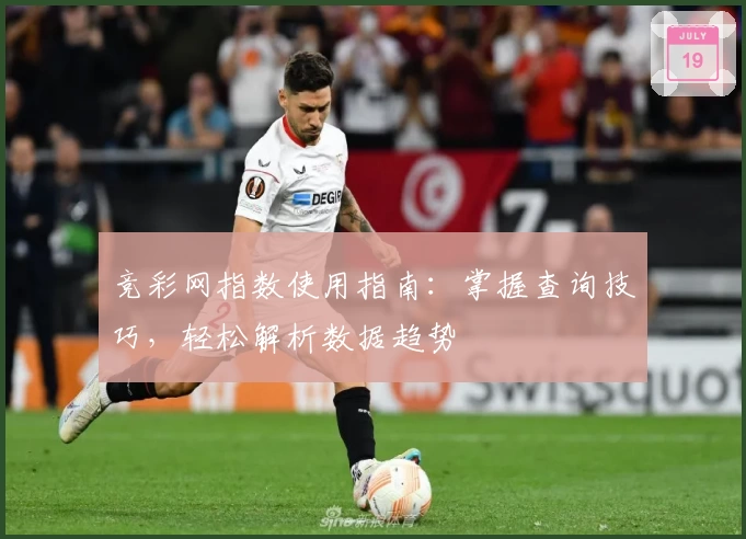 竞彩网指数使用指南：掌握查询技巧，轻松解析数据趋势