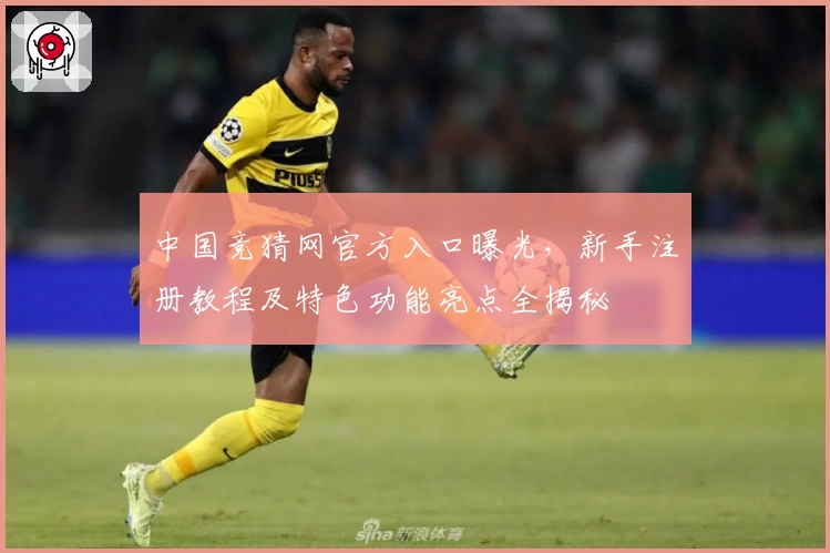 中国竞猜网官方入口曝光，新手注册教程及特色功能亮点全揭秘