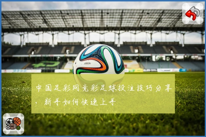 中国足彩网竞彩足球投注技巧分享,新手如何快速上手
